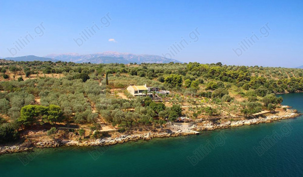 Eξωτερική όψη - Outdoor view